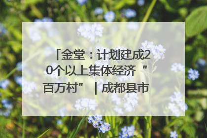 金堂：计划建成20个以上集体经济“百万村”｜成都县市新城高质量发展