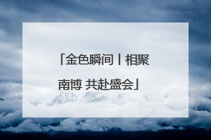 金色瞬间丨相聚南博 共赴盛会