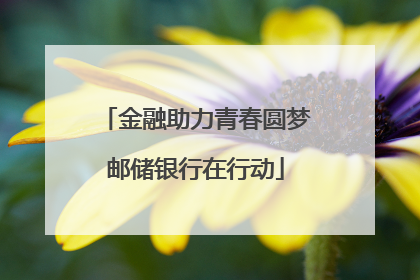 金融助力青春圆梦邮储银行在行动