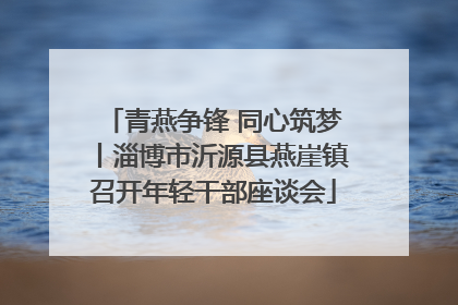 青燕争锋 同心筑梦丨淄博市沂源县燕崖镇召开年轻干部座谈会