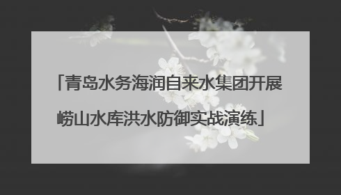青岛水务海润自来水集团开展崂山水库洪水防御实战演练