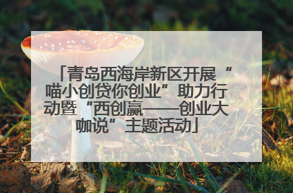 青岛西海岸新区开展“喵小创贷你创业”助力行动暨“西创赢——创业大咖说”主题活动
