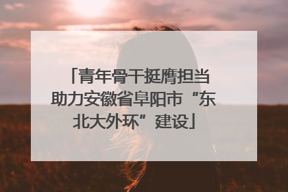 青年骨干挺膺担当 助力安徽省阜阳市“东北大外环”建设