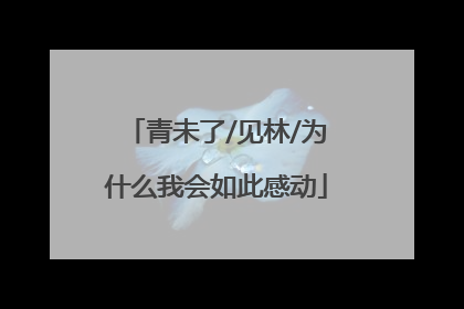 青未了/见林/为什么我会如此感动
