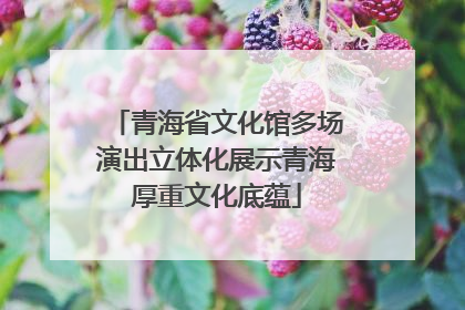 青海省文化馆多场演出立体化展示青海厚重文化底蕴