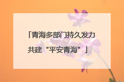 青海多部门持久发力共建“平安青海”