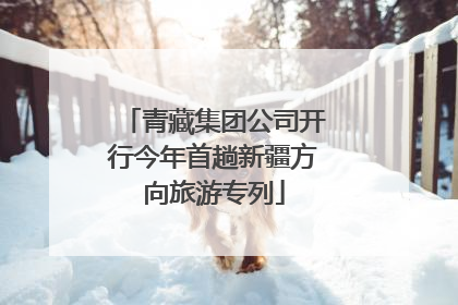 青藏集团公司开行今年首趟新疆方向旅游专列