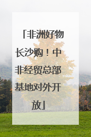 非洲好物长沙购！中非经贸总部基地对外开放