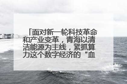 面对新一轮科技革命和产业变革，青海以清洁能源为主线，紧抓算力这个数字经济的“血液”、科技主权的“筹码”、产业升级的“杠杆”、绿色转型的“支点”，勇于撬动国家“双碳”战略、“东数西算”工程重大发展新机遇