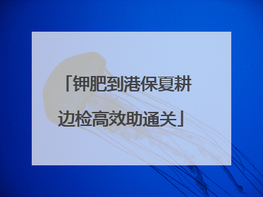 钾肥到港保夏耕 边检高效助通关