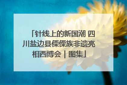针线上的新国潮 四川盐边县傈僳族非遗亮相西博会｜图集
