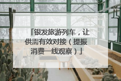 银发旅游列车，让供需有效对接（提振消费一线观察）