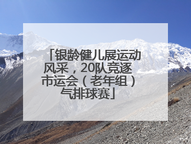 银龄健儿展运动风采，20队竞逐市运会（老年组）气排球赛