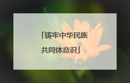 铸牢中华民族共同体意识