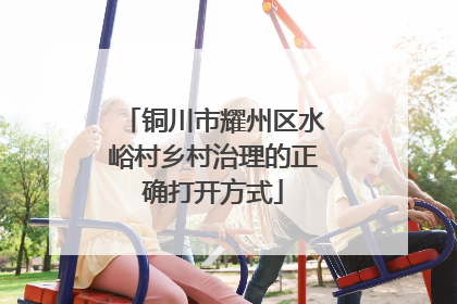 铜川市耀州区水峪村乡村治理的正确打开方式
