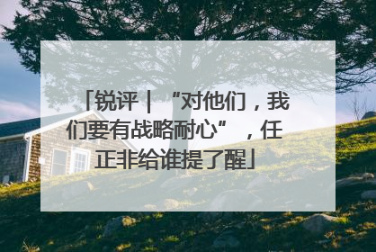 锐评｜“对他们，我们要有战略耐心”，任正非给谁提了醒