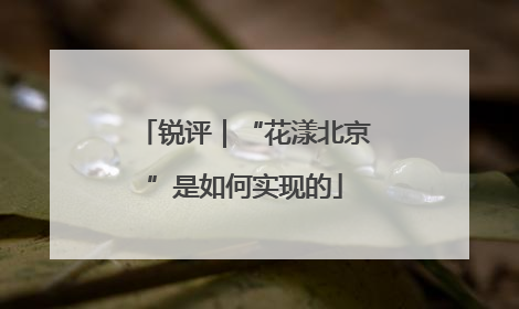 锐评｜“花漾北京”是如何实现的