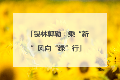 锡林郭勒：乘“新”风向“绿”行