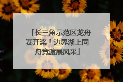 长三角示范区龙舟赛开桨！边界湖上同舟竞渡展风采