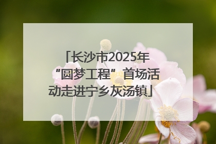 长沙市2025年“圆梦工程”首场活动走进宁乡灰汤镇