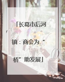 长葛市后河镇：商会为“桥”助发展