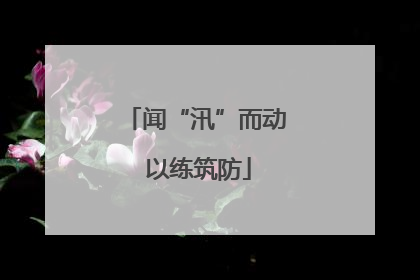 闻“汛”而动 以练筑防