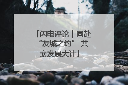 闪电评论｜同赴“友城之约” 共襄发展大计
