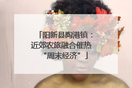 阳新县陶港镇：近郊农旅融合催热“周末经济”