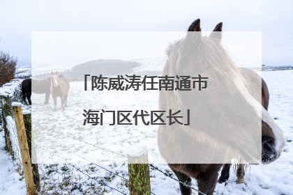 陈威涛任南通市海门区代区长