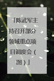 陈武军主持召开部分领域重点项目调度会（图）
