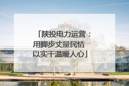 陕投电力运营：用脚步丈量民情 以实干温暖人心