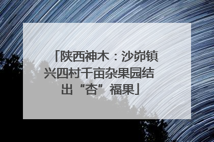陕西神木：沙峁镇兴四村千亩杂果园结出“杏”福果