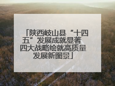 陕西岐山县“十四五”发展成就显著 四大战略绘就高质量发展新图景