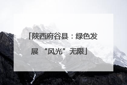 陕西府谷县：绿色发展 “风光”无限