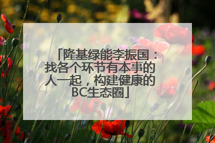 隆基绿能李振国：找各个环节有本事的人一起，构建健康的BC生态圈