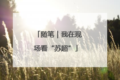 随笔｜我在现场看“苏超”