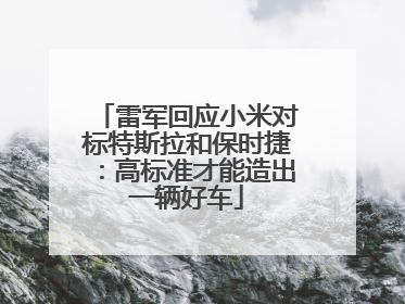 雷军回应小米对标特斯拉和保时捷：高标准才能造出一辆好车