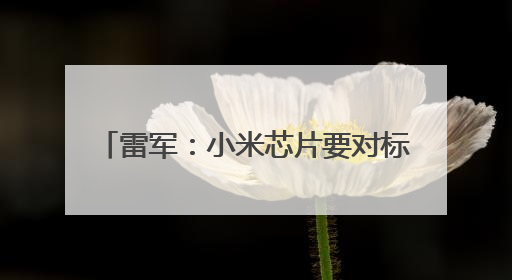 雷军：小米芯片要对标苹果，小米15SPro售价5499元起