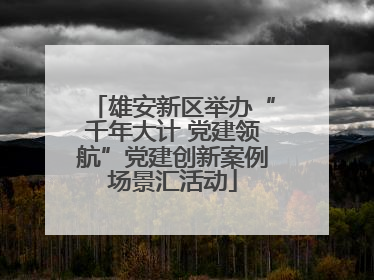 雄安新区举办“千年大计 党建领航”党建创新案例场景汇活动
