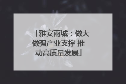 雅安雨城：做大做强产业支撑 推动高质量发展