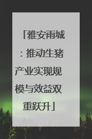 雅安雨城：推动生猪产业实现规模与效益双重跃升