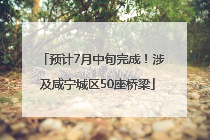 预计7月中旬完成！涉及咸宁城区50座桥梁