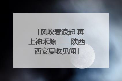 风吹麦浪起 再上神禾塬——陕西西安夏收见闻