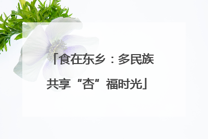 食在东乡：多民族共享“杏”福时光