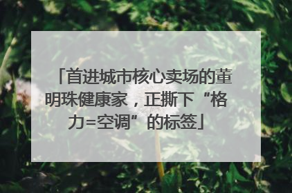 首进城市核心卖场的董明珠健康家，正撕下“格力=空调”的标签