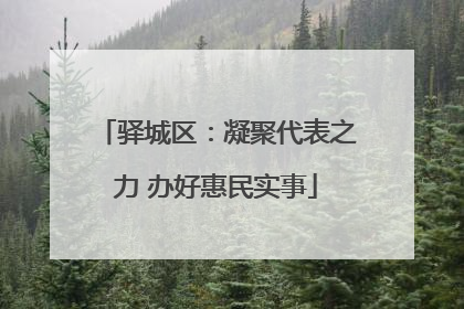 驿城区：凝聚代表之力 办好惠民实事