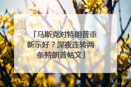 马斯克对特朗普重新示好？深夜连转两条特朗普帖文