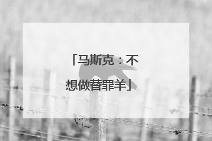 马斯克：不想做替罪羊