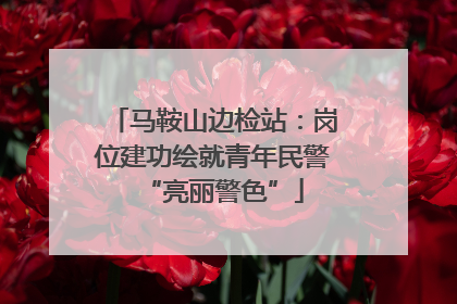 马鞍山边检站：岗位建功绘就青年民警“亮丽警色”
