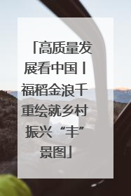 高质量发展看中国丨福稻金浪千重绘就乡村振兴“丰”景图